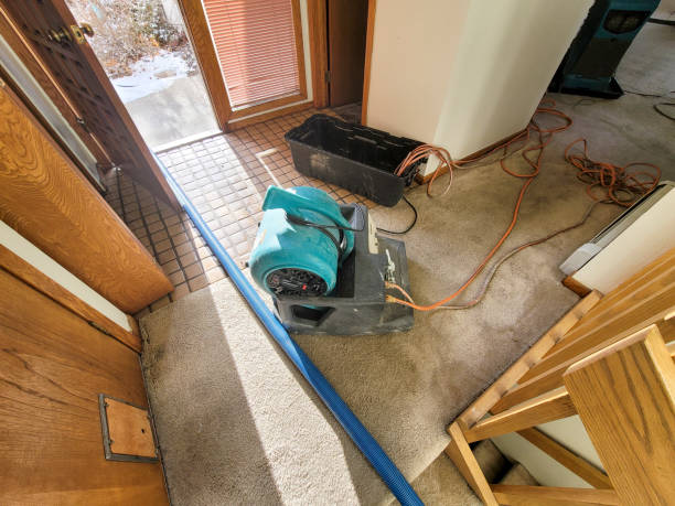 Water damage restoration process in Nederland, CO