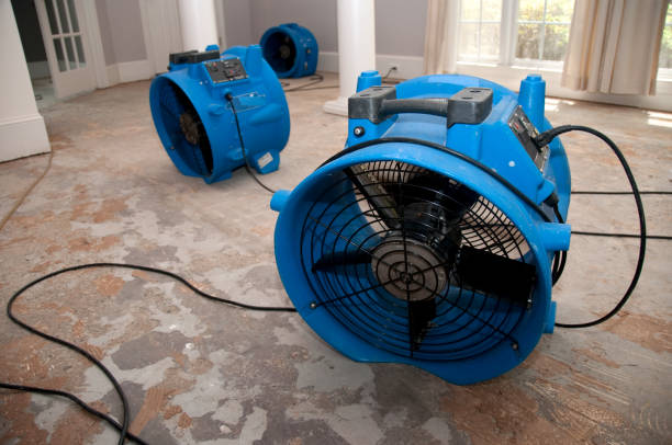 Carpet water damage restoration in Nederland, CO