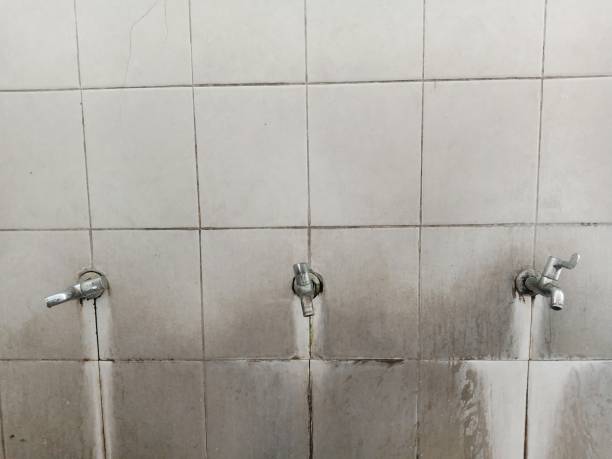 Best Residential water damage restoration  in Nederland, CO