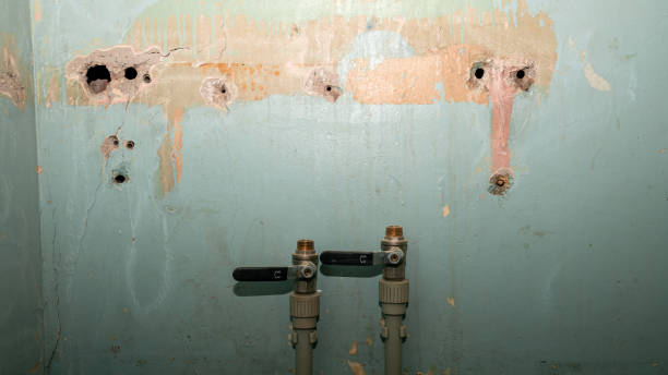 Best Water damage cleanup near me  in Nederland, CO