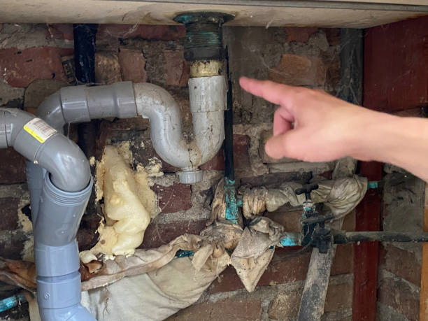Best Water damage contractors near me  in Nederland, CO