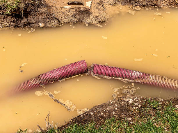 Reliable Nederland, CO Water damage restoration Solutions