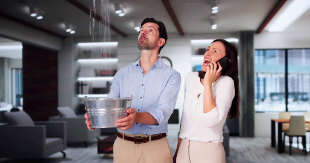 Best 24-hour water damage restoration  in Nederland, CO
